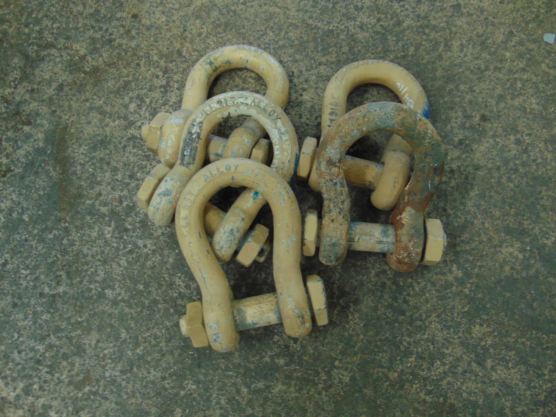 5 x 21T BOW SHACKLES