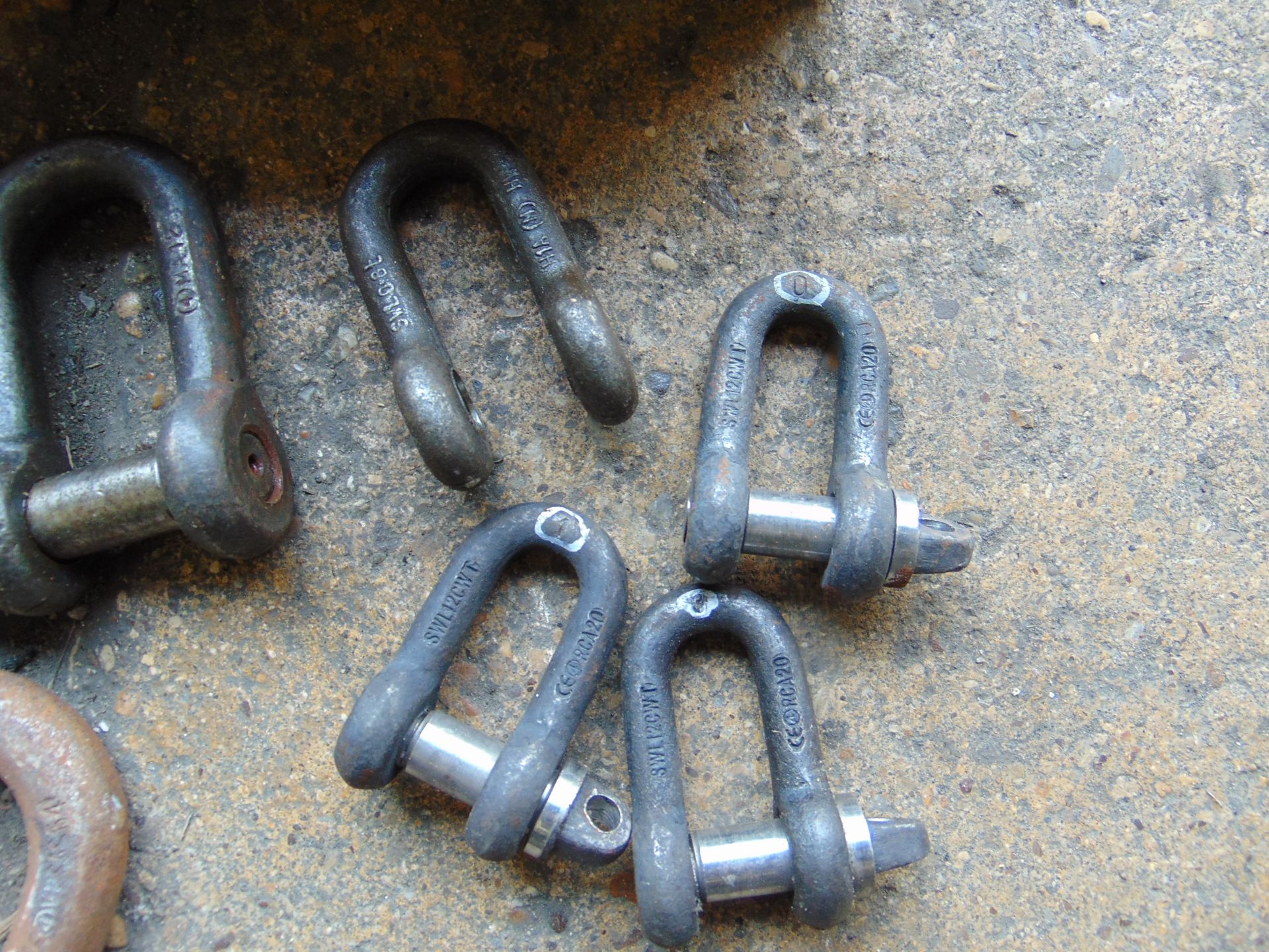 Various shackles - Image 5 of 5