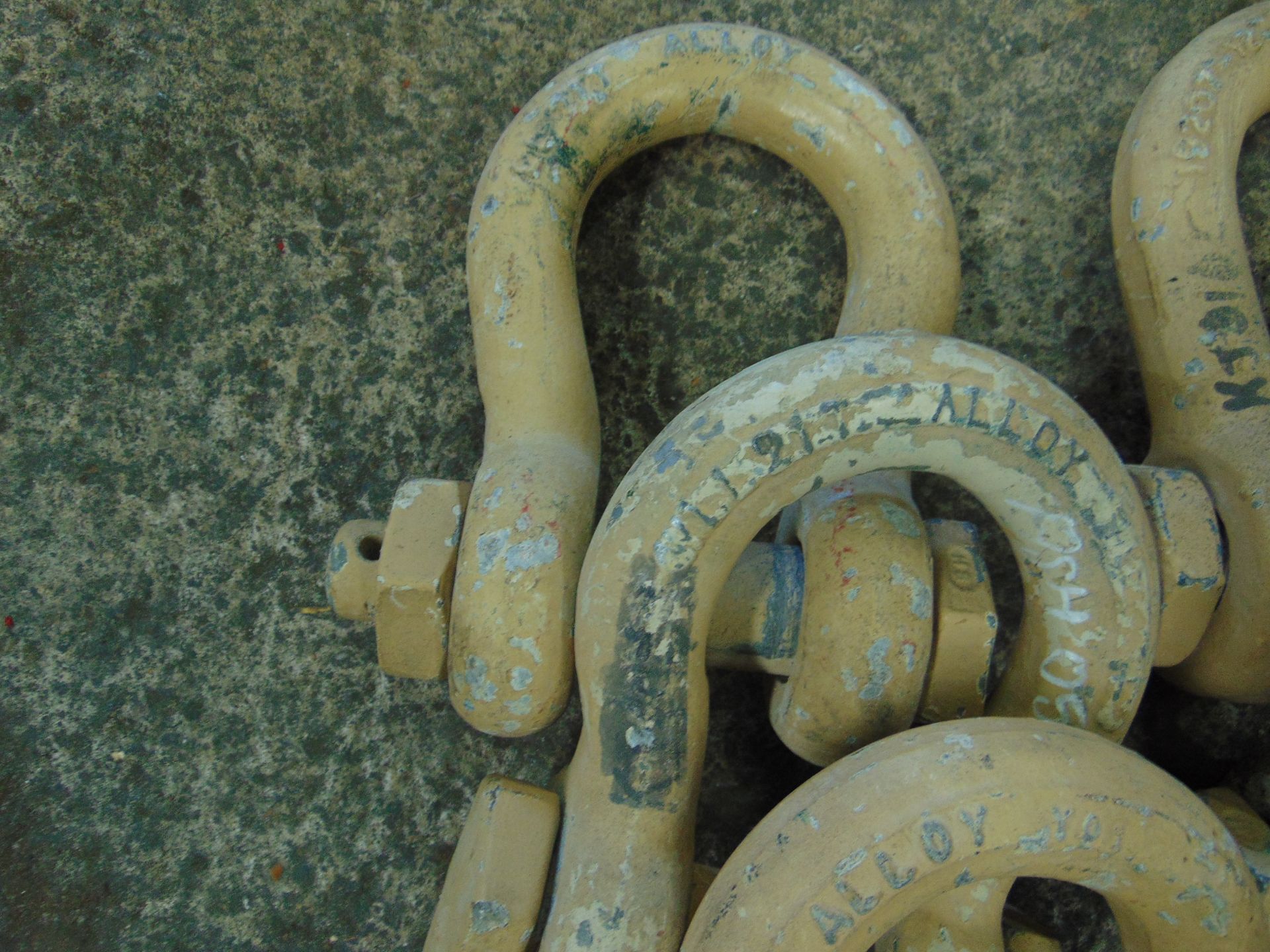 5 x 21T BOW SHACKLES - Image 3 of 3