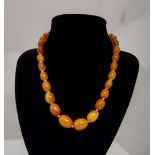 Butterscotch amber necklace on silk cord, approx weight 20g