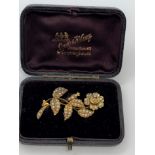 Victorian yellow gold pearl spray brooch in flower form, presented in Cooke & Kelvey Calcutta box,