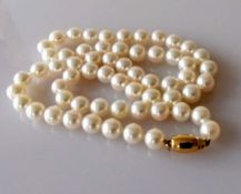 A single row of sixty Akoya cultured pearls measuring from 6.5mm to 7mm on a yellow gold barrel