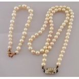 A single row cultured necklet comprising 67 beads, 5.5mm to 6mm, clear colour, pink overtones with