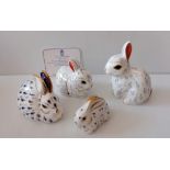 A Royal Crown Derby Bunny MMIV, Snowy Rabbit 21st Year Edition with CoA, both with gold buttons;