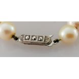 An Art Deco cultured pearl necklet comprising forty-three Akoya beads measuring 7.9mm to 8.5mm on