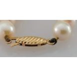 A single row of sixty-one cultured pearls, measuring 6mm to 6.3mm, medium cream colour on a