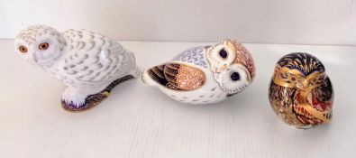 A Royal Crown Derby Snowy Owl, Little Owl and an Imari owl, all boxed and in very good condition (3)