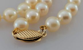 A single row necklace of sixty Akoya cultured pearls, 5.5mm to 6mm, on a 9ct gold clasp, light cream