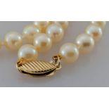 A single row necklace of sixty Akoya cultured pearls, 5.5mm to 6mm, on a 9ct gold clasp, light cream