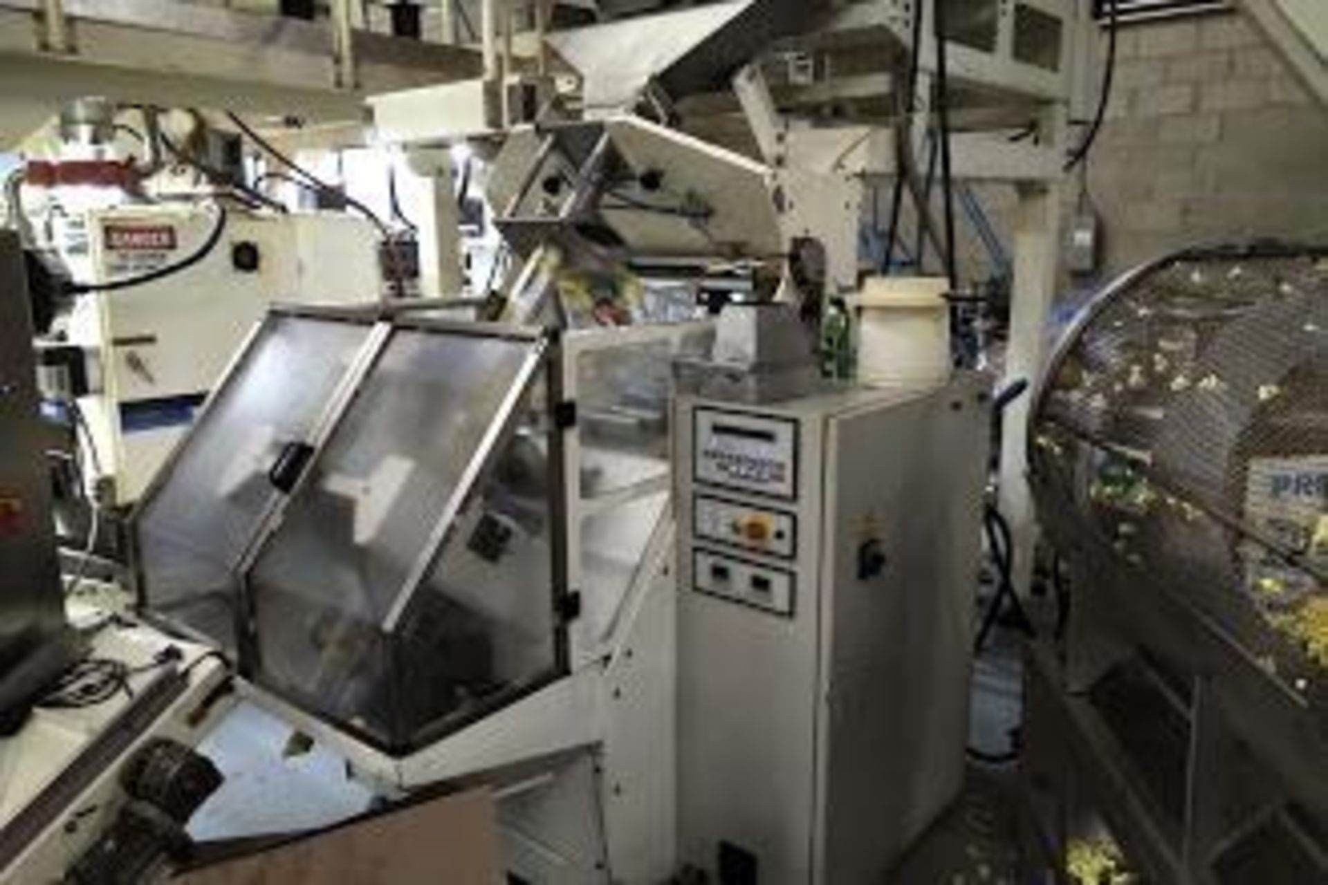 Martini Bagger, includes: in-feed and out-feed converyor scales, mezzanine, multiple formers, three