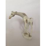 Meissen Porzellanfigur Giraffe