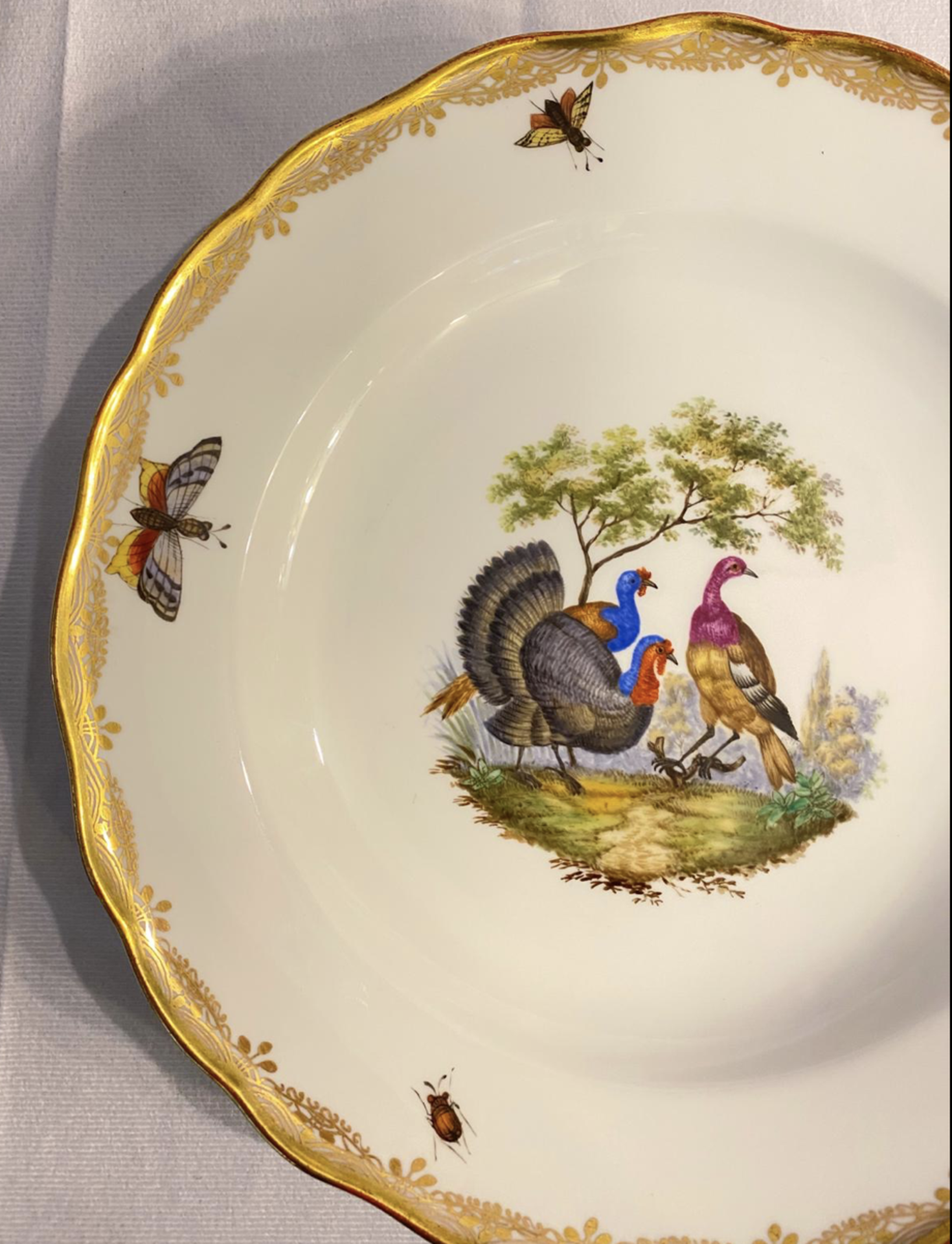 Meissen Teller mit buntem Vogel-Motiv Knaufzeit - Bild 3 aus 4