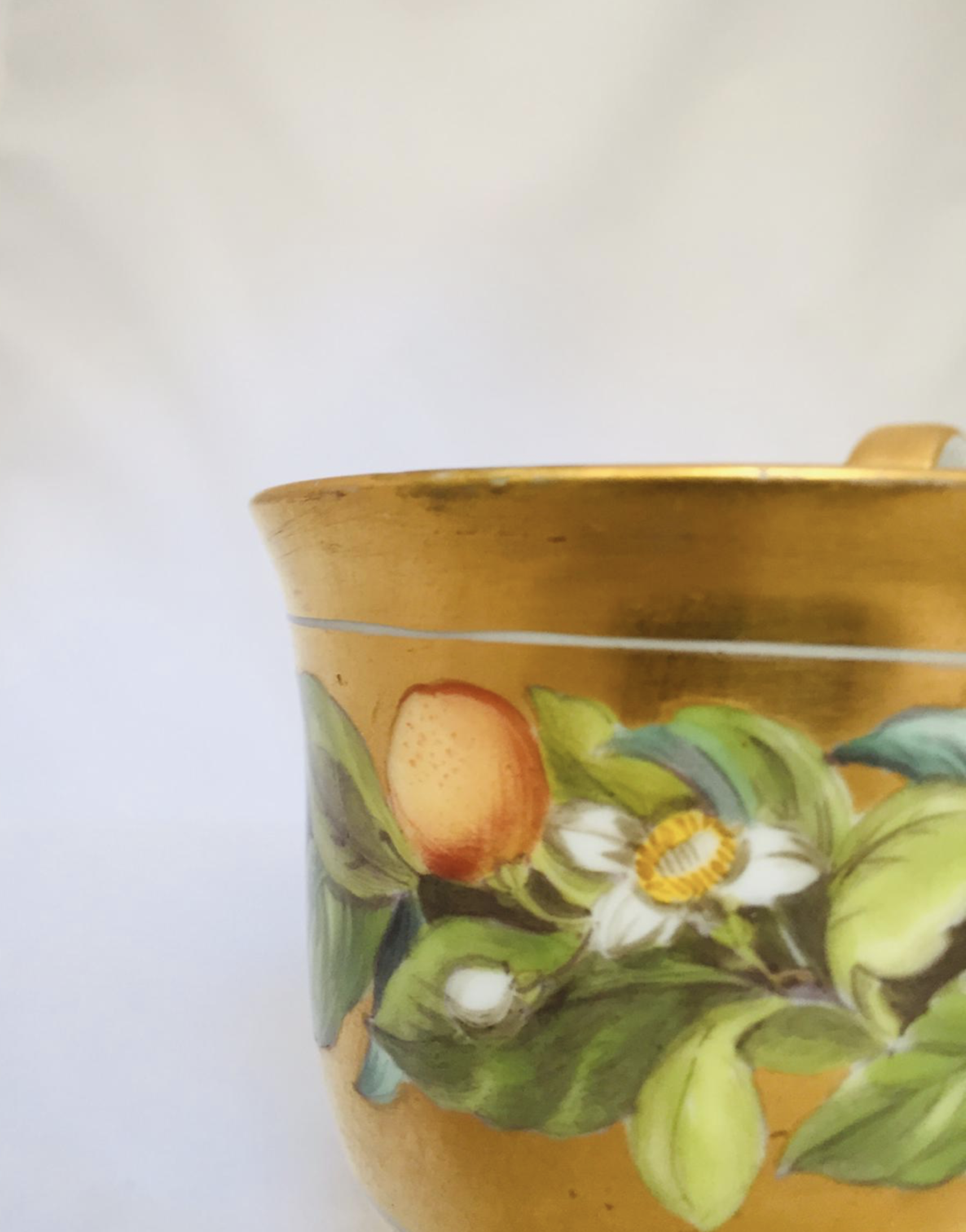 Meissen vergoldetes Gedeck mit umlaufender Zitronenmalerei - Bild 7 aus 9