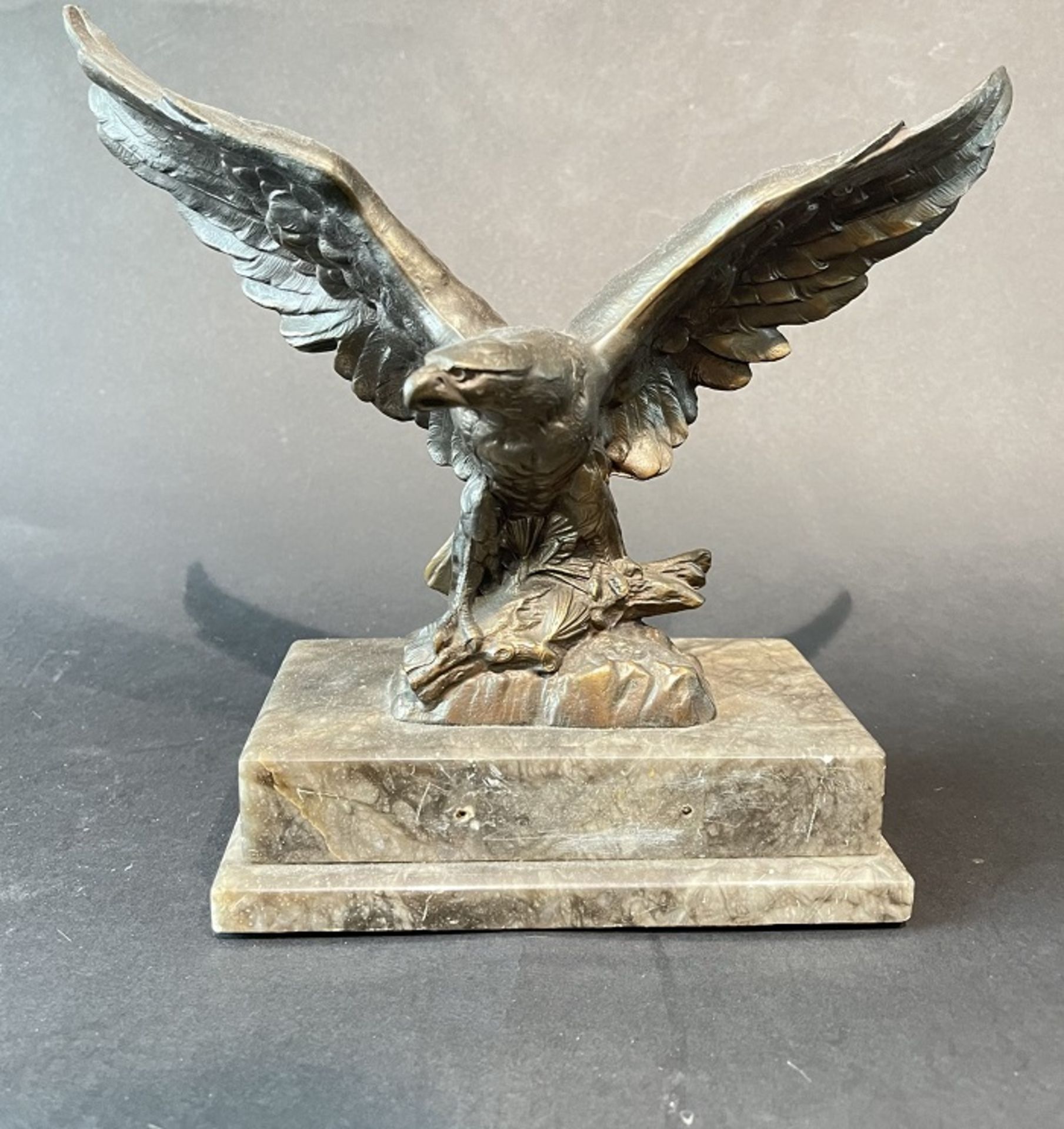 Adler Bronze Figur auf Marmor