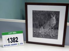 A Framed and Glazed Black and White Photographic Print Entitled 'Cheetah and Cub - Tanzania' 614mm(