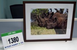 A Framed and Glazed Colour Photographic Print Entitled 'Rhinos - South Africa' 614mm(h) x 760mm(w)