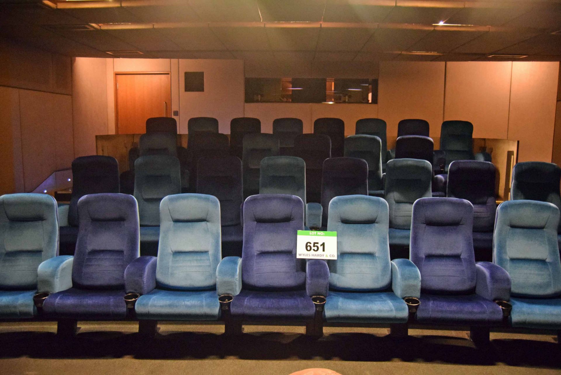 Thirty 2-Tone Blue Velour Upholstered Spring Back Auditorium Seats in Three Rows of Eight and One