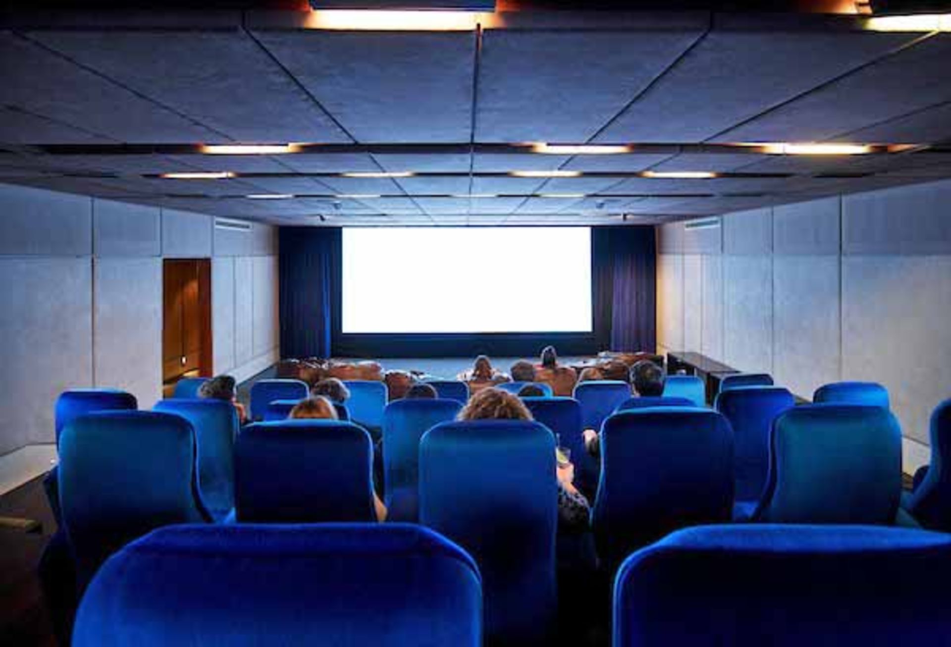 The Thirty Seat capacity Digital Movie Screening Facility to include Projectionists Room