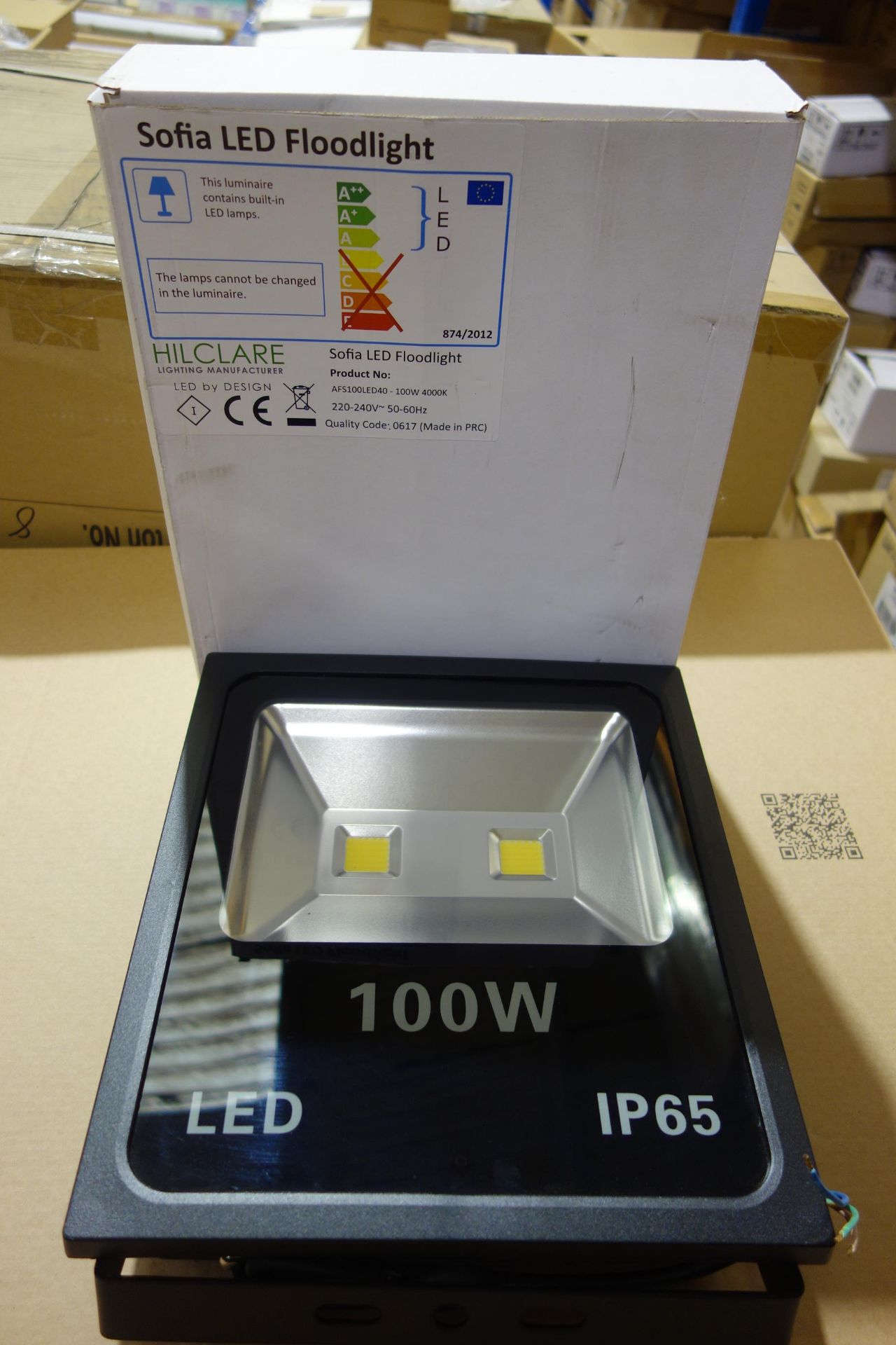 2 X Hilclare AFS100LED40 Sofia LED Floodlights 100W 4000K IP65 Black Finish