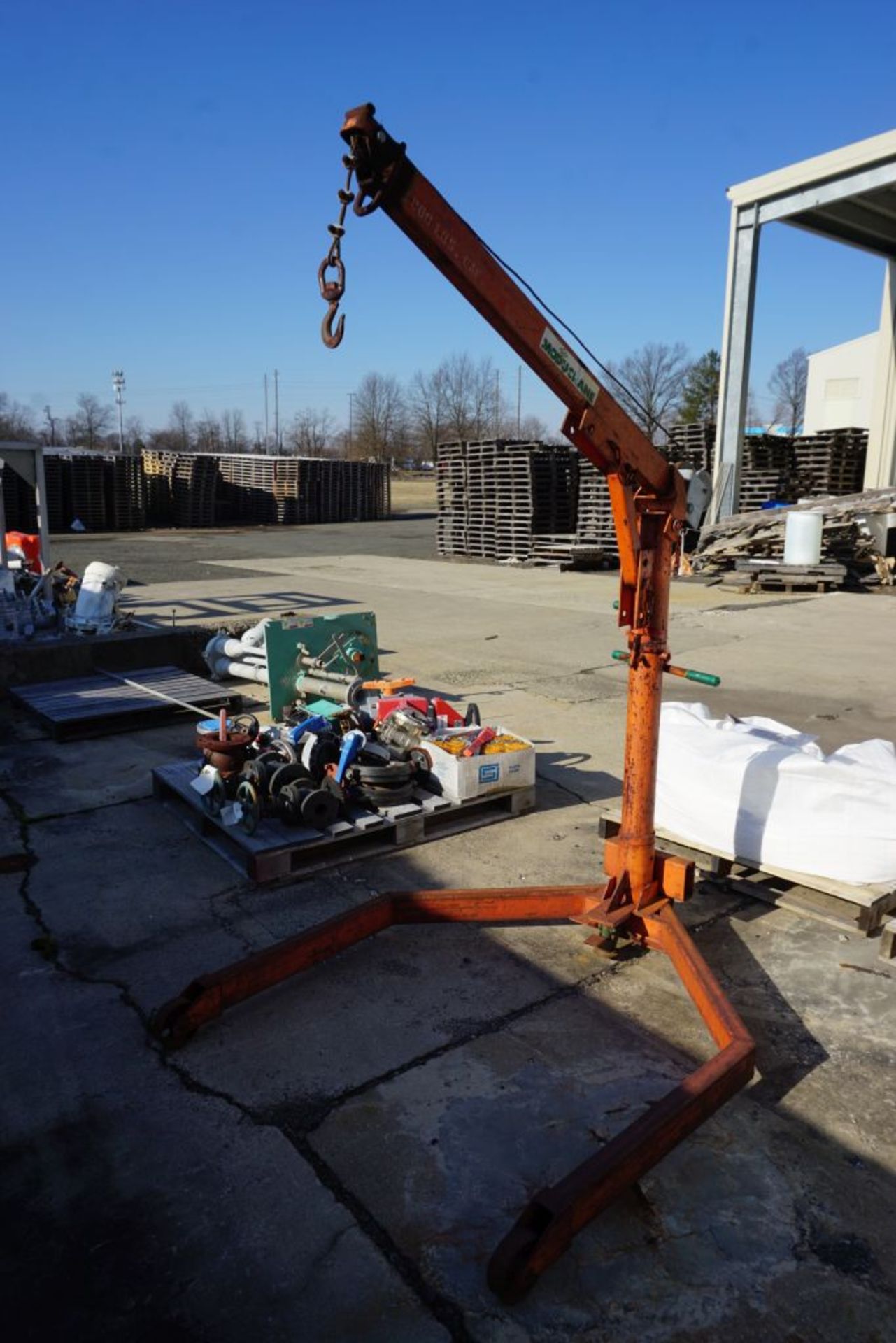 Moducrane Hoist | 1,000 lb Capacity