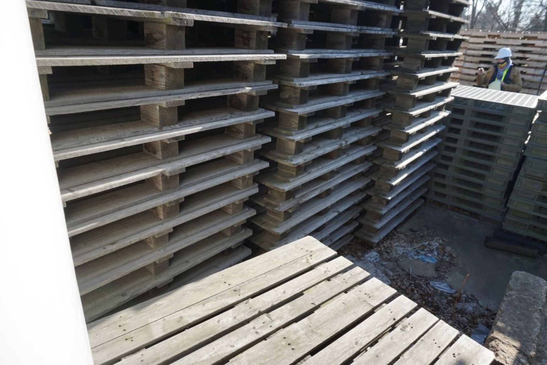 Lot of Approx (272) Pallets | (220) Wooden; (52) Plastic - Image 11 of 11