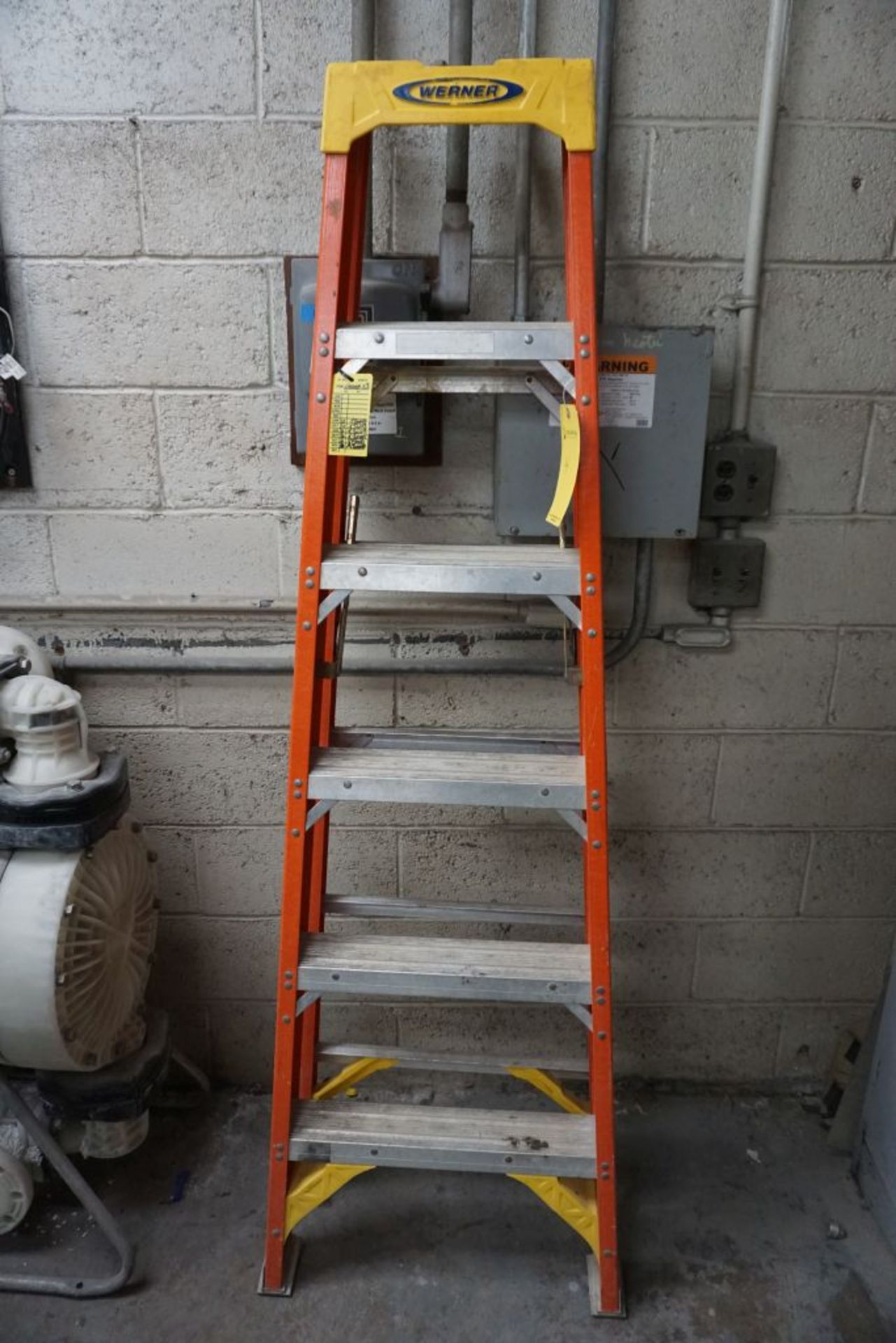 Werner 6' Ladder