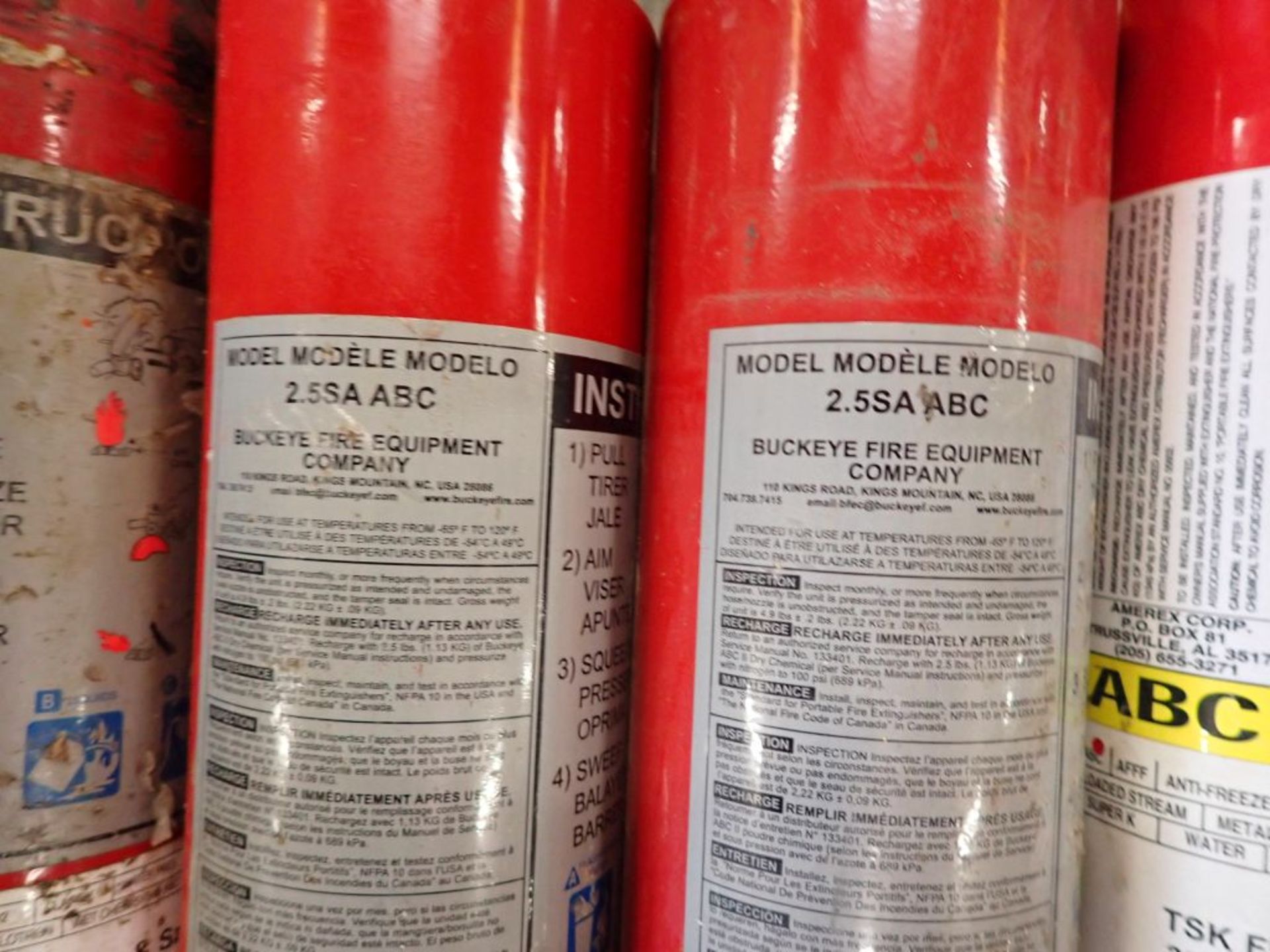 Lot of (10) Assorted Fire Extinguishers | Brands Include:; TSK Fire & Safety; Buckeye - Image 6 of 8