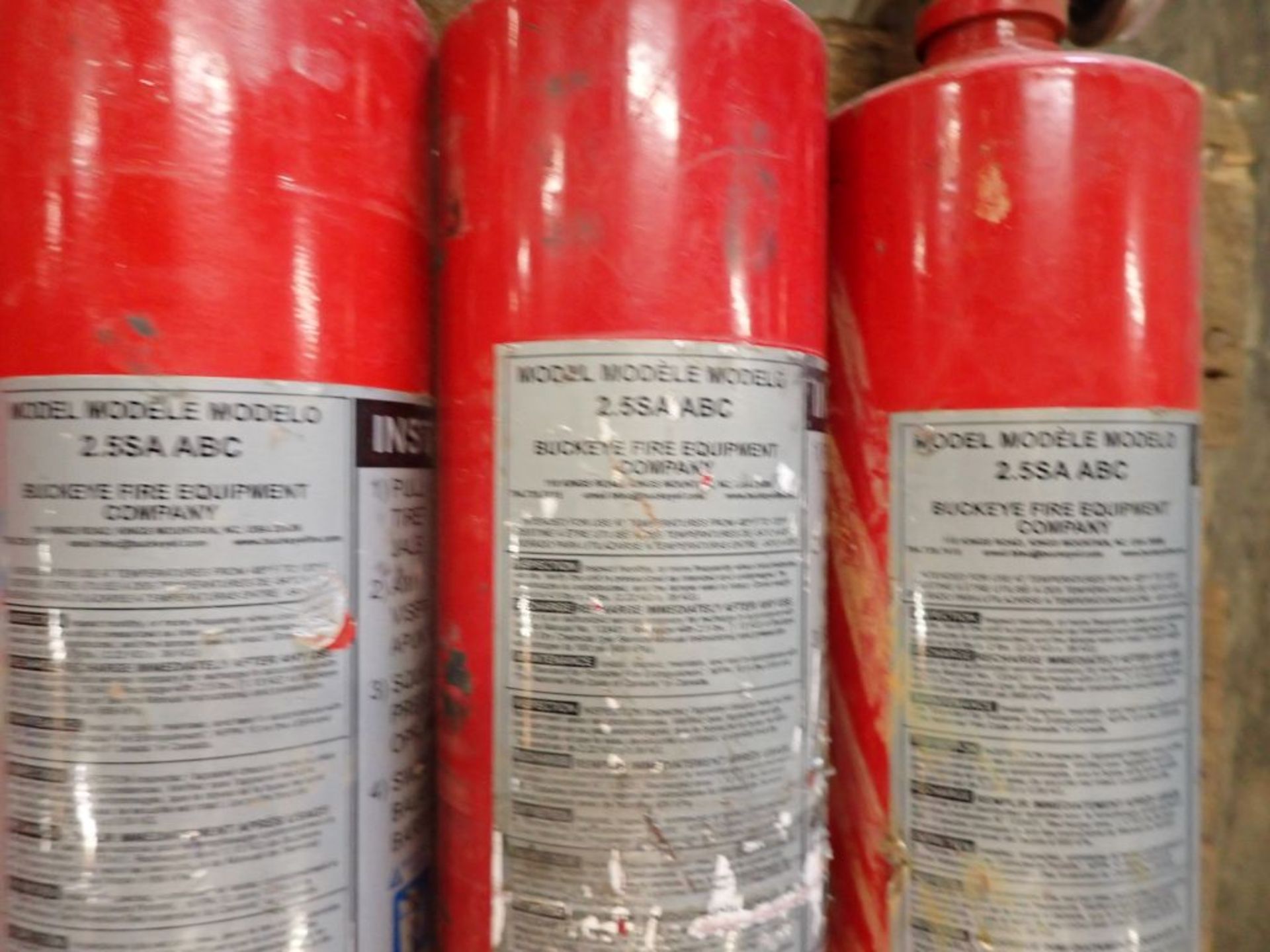 Lot of (10) Buckeye Fire Extinguishers - Image 8 of 8