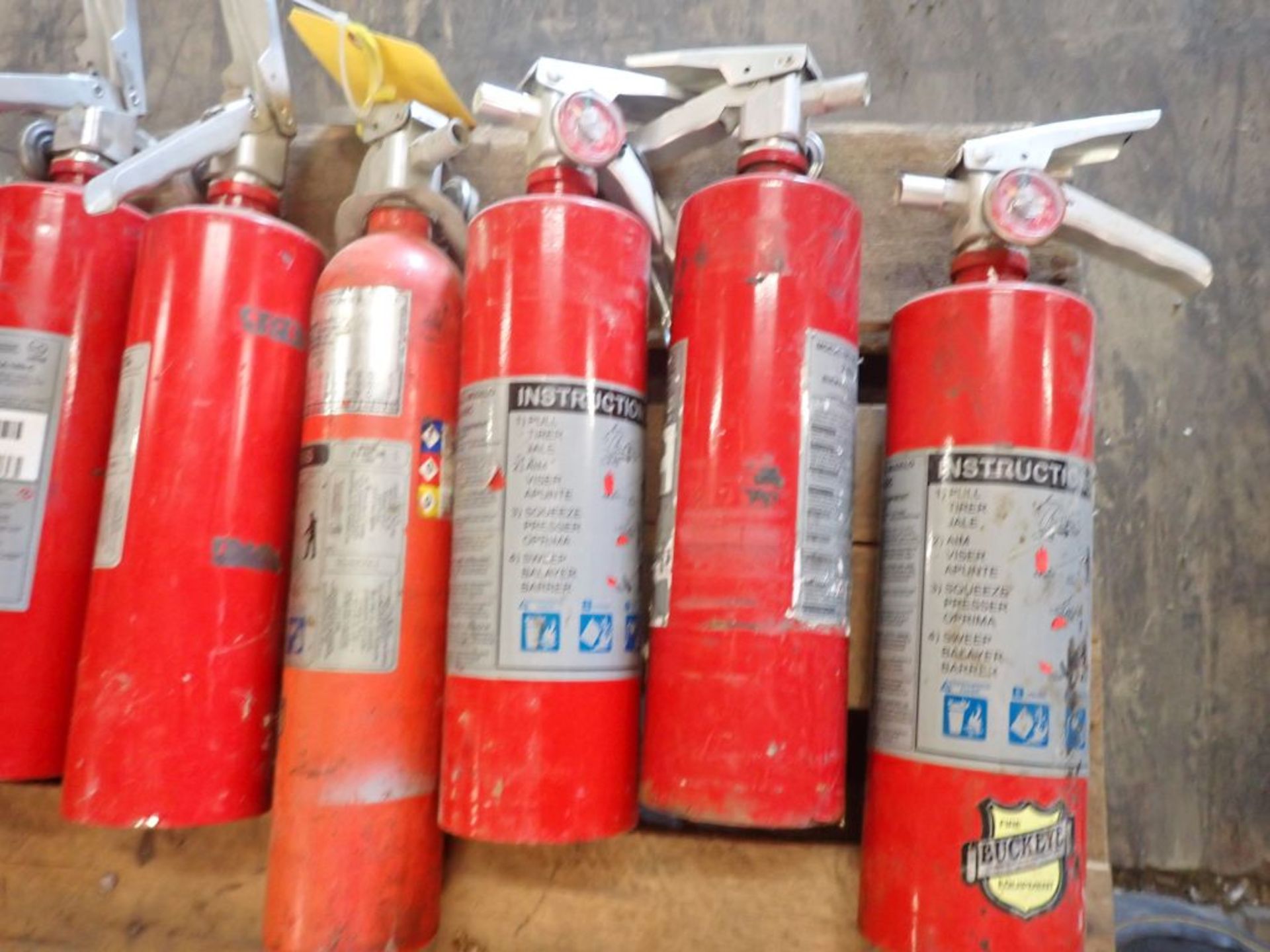 Lot of (10) Buckeye Fire Extinguishers - Image 2 of 8