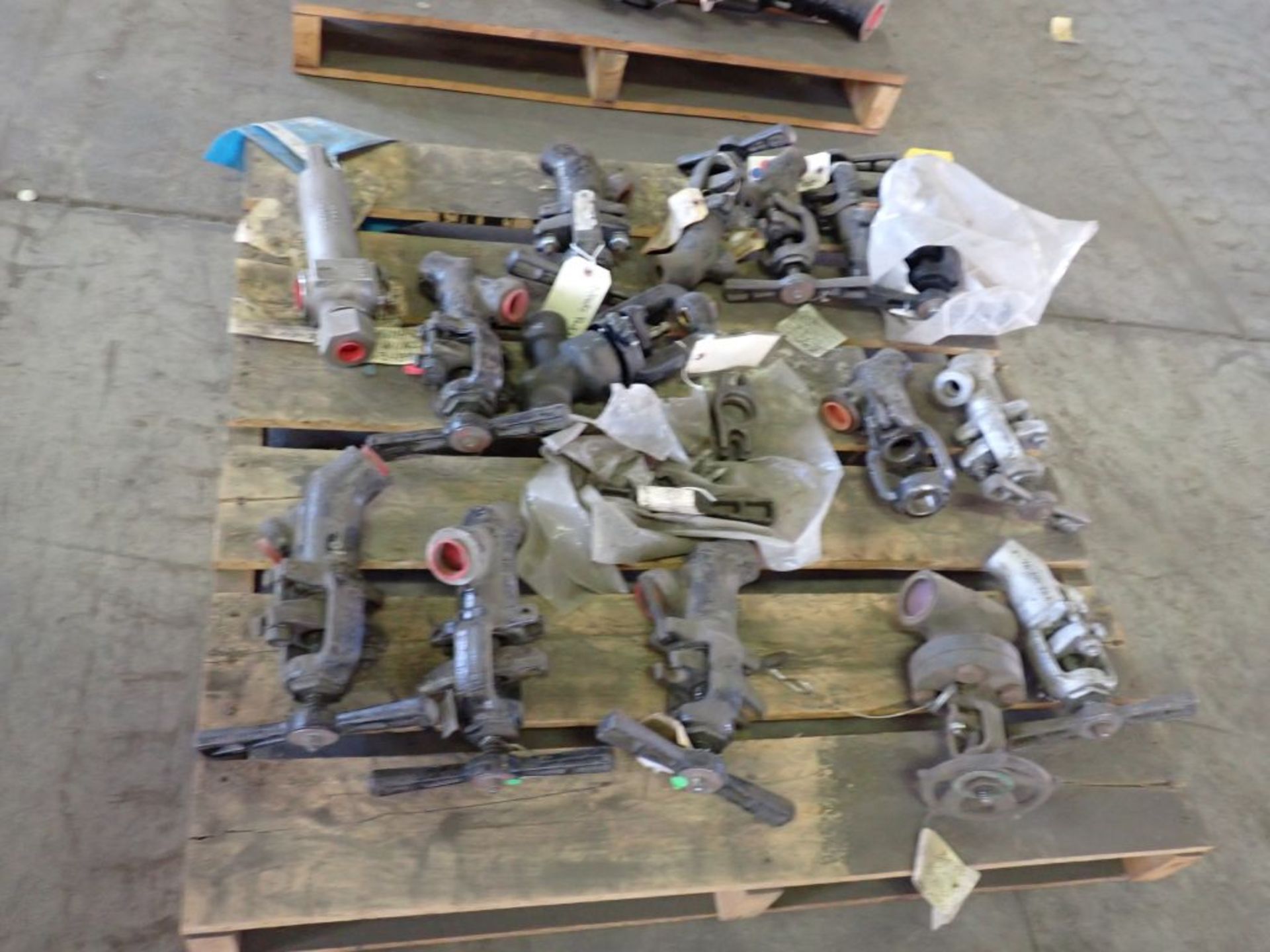 Lot of Assorted Valves | Includes:; Check; Gate; Globe - Image 2 of 20