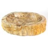 WASCHBECKEN, Dendrolith/ Fossiles Holz,