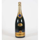 CHAMPAGNER, Magnum-Flasche,