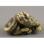 NETSUKE LIEGENDER TIGER, Elfenbein,