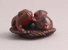 NETSUKE ZWEI WELPEN, Holz, partiell