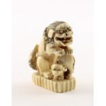 NETSUKE SHISHI MIT JUNGES, ELFENBEIN, JAPAN, 19.Jh.