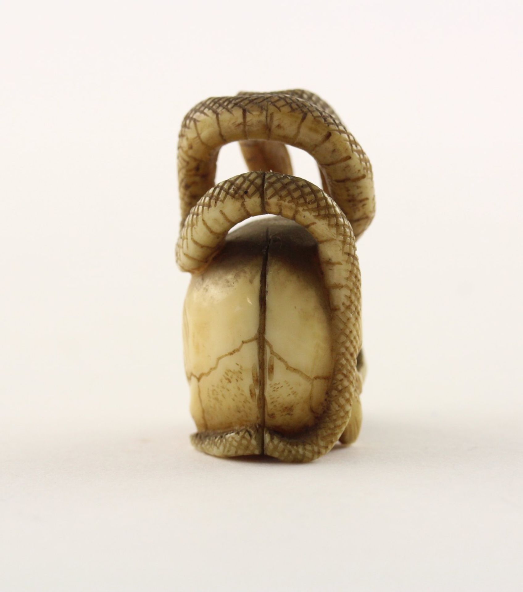 NETSUKE SCHLANGE AUF SCHÄDEL, JAPAN, 19.Jh. - Image 3 of 5