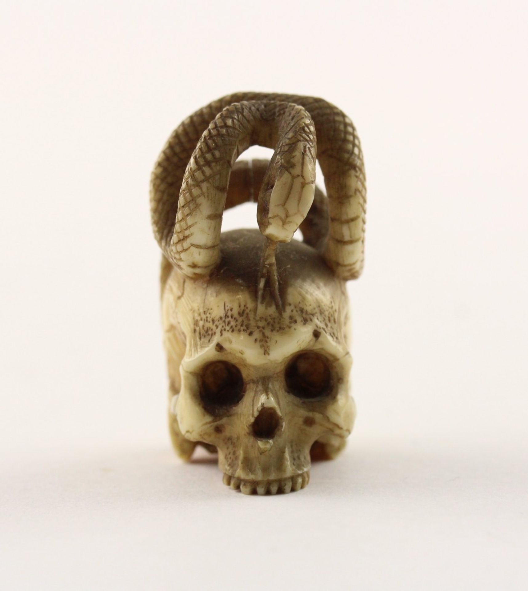 NETSUKE SCHLANGE AUF SCHÄDEL, JAPAN, 19.Jh.