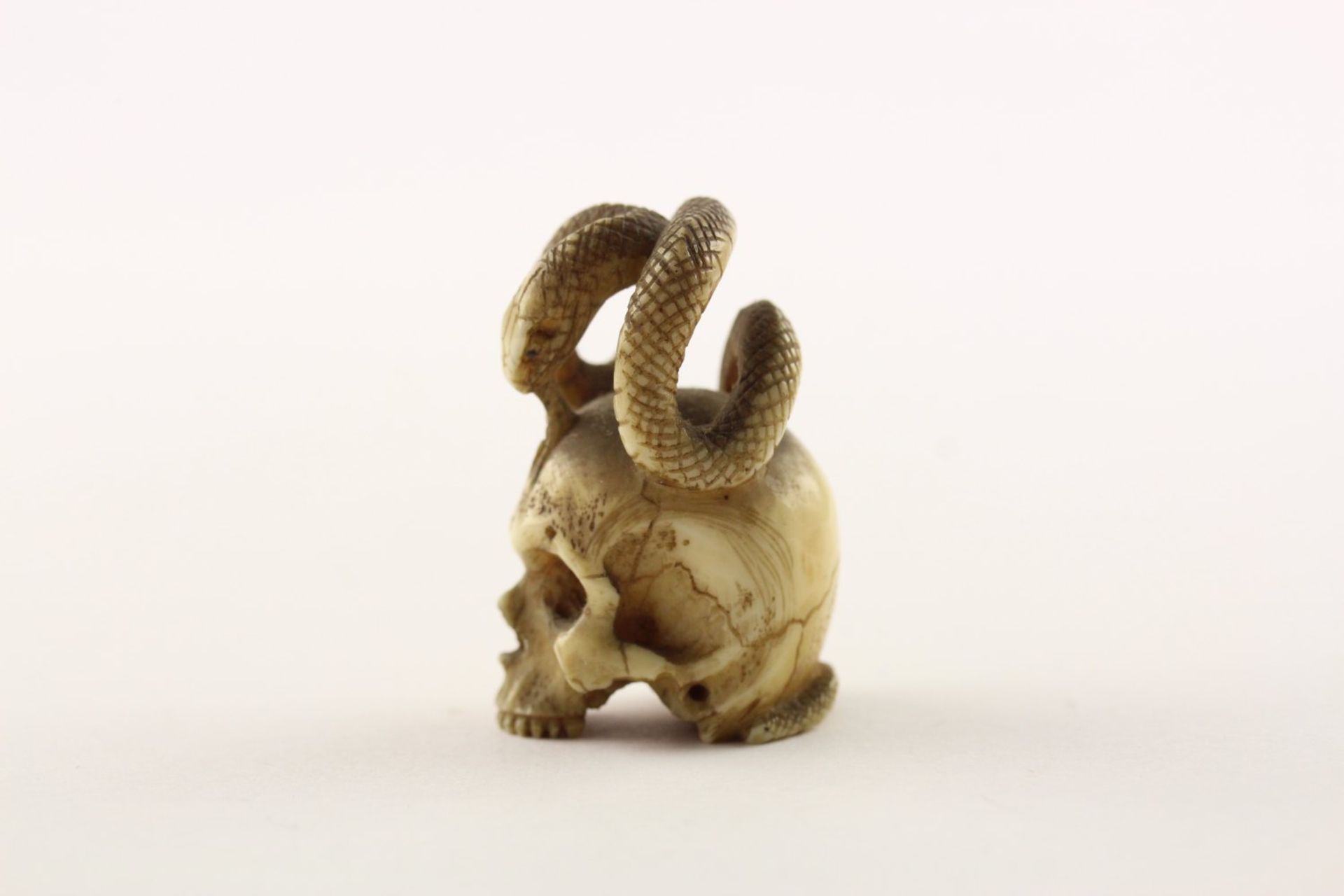 NETSUKE SCHLANGE AUF SCHÄDEL, JAPAN, 19.Jh. - Image 2 of 5