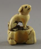 NETSUKE HUND AUF EINEM FELS,