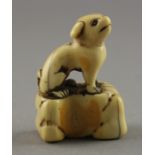 NETSUKE HUND AUF EINEM FELS,