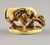 NETSUKE BAUER MIT OCHSE, Elfenbein,