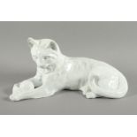 GROSSE TIERFIGUR "KATZE", L 31,