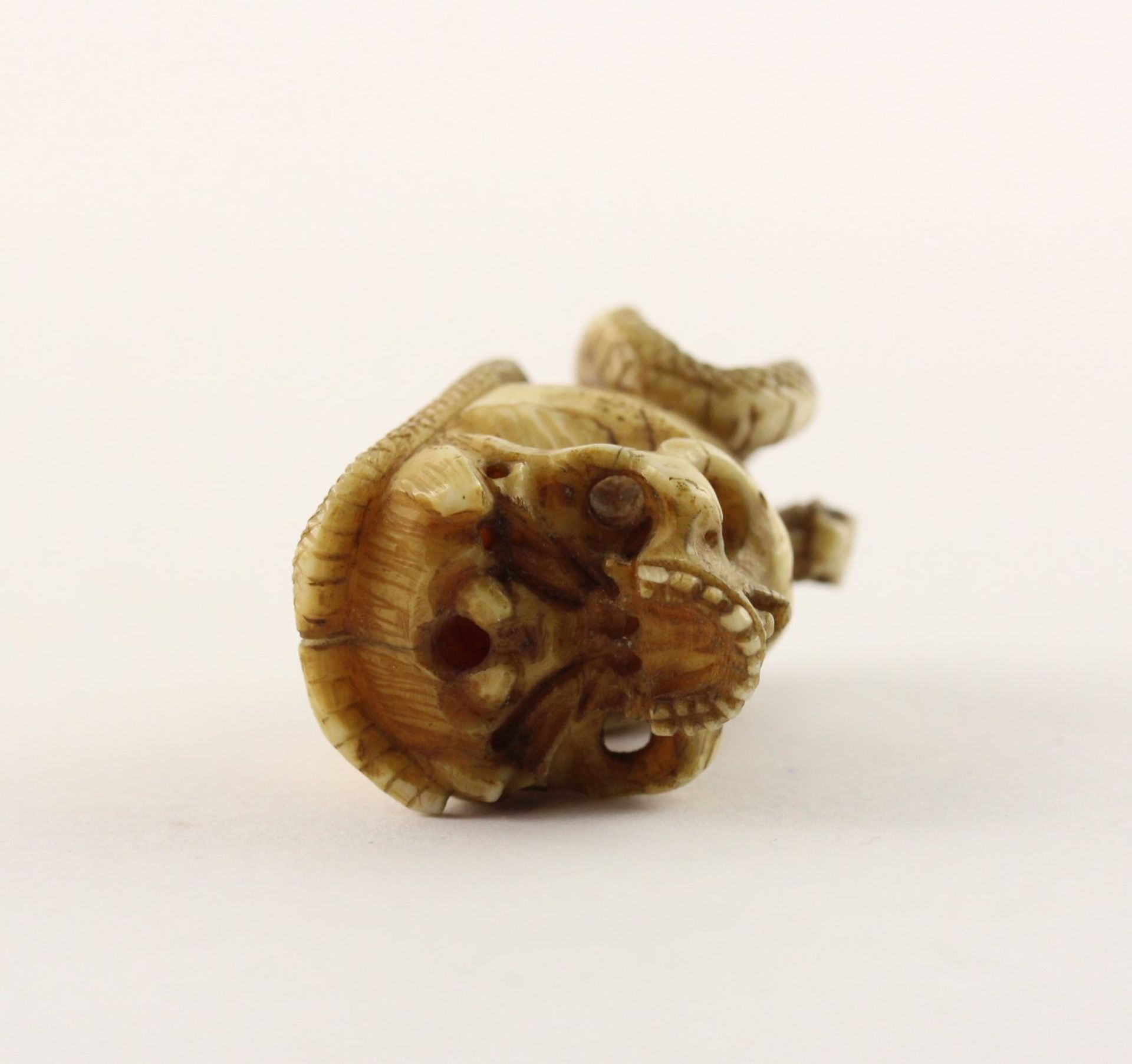 NETSUKE SCHLANGE AUF SCHÄDEL, JAPAN, 19.Jh. - Image 5 of 5