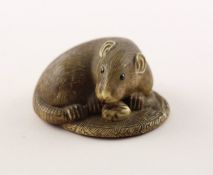 NETSUKE RATTE, ELFENBEIN, JAPAN, 19.Jh.