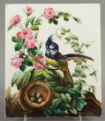 <de>BILDPLATTE "BLAUMEISE AM NEST", aufglasur farbig gemalt, Platte Carl Tielsch, 15 x 12,5, gerahmt