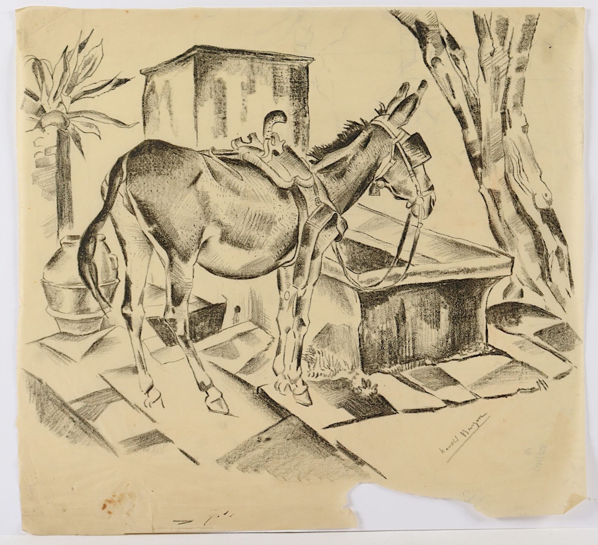 <de>BENGEN, Harold Tronson (1879-1962), 8 Pferde/Eselzeichnungen, diverse Techniken und Größen, bis  - Bild 2 aus 5