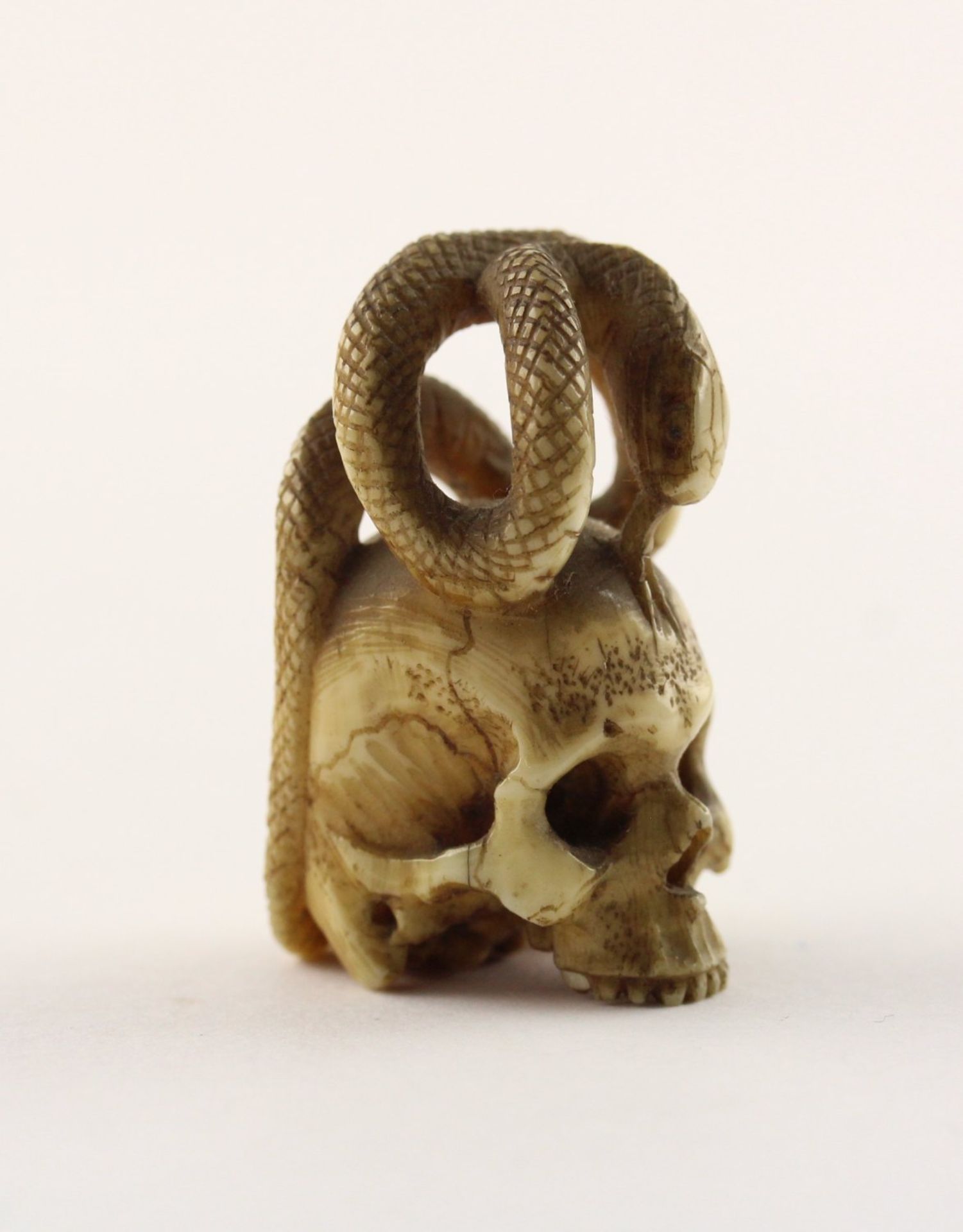 <de>NETSUKE SCHLANGE AUF SCHÄDEL, maritimes Elfenbein, detailreich geschnitzt, H 3,8, ein Altersriss - Bild 4 aus 5