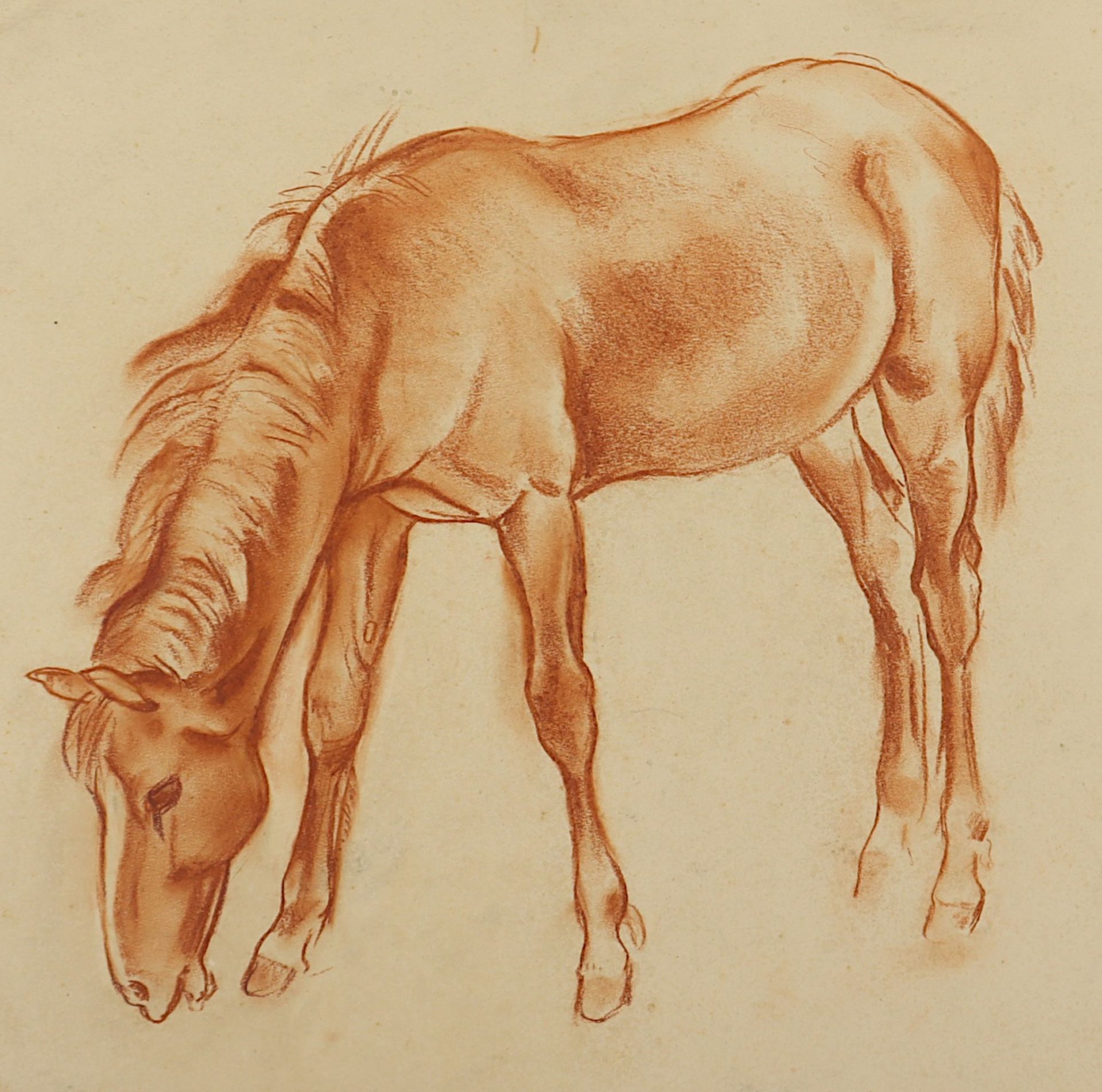 <de>BENGEN, Harold Tronson (1879-1962), 8 Pferde/Eselzeichnungen, diverse Techniken und Größen, bis  - Bild 4 aus 5