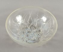 <de>SCHALE, farbloses Glas, Dm 21, reliefierter Misteldekor, gemarkt, LALIQUE, um 1920</de>