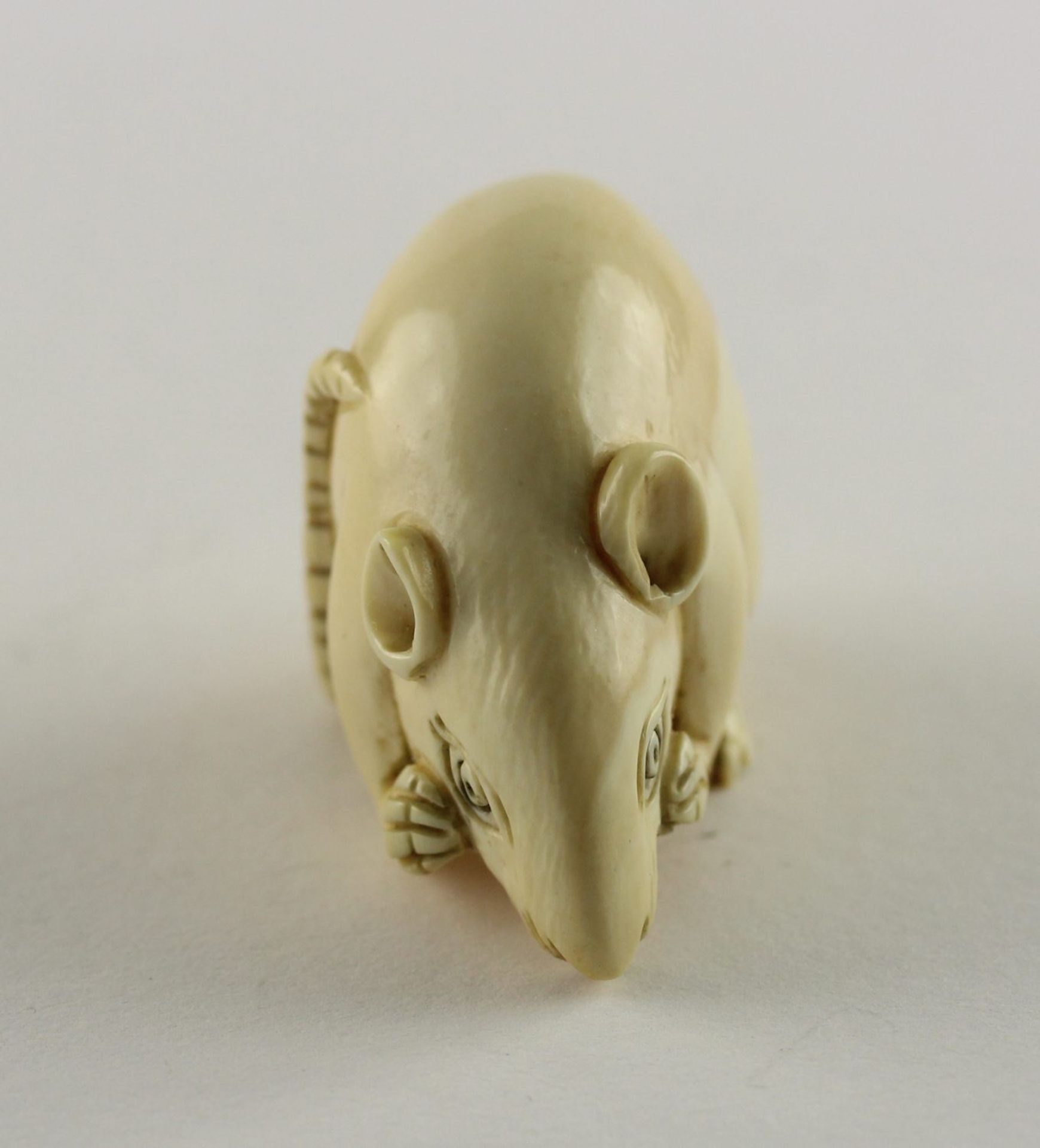 NETSUKE RATTE, Elfenbein, das sitzende - Bild 4 aus 5